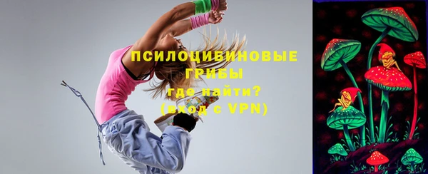 соль ск Осташков