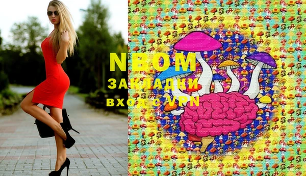 стафф Беломорск