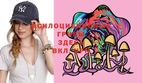 PSILOCYBIN Балахна