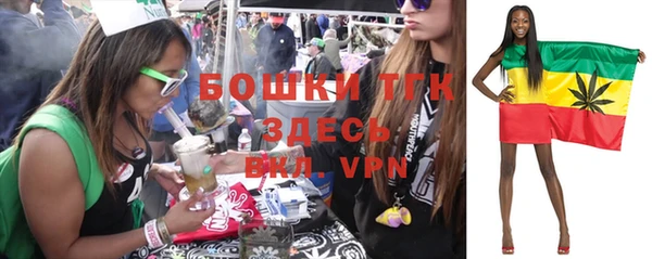 стаф Белоозёрский