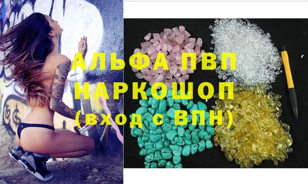 стаф Белоозёрский