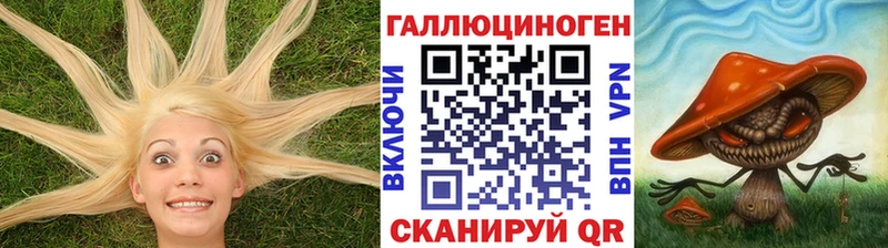 хочу наркоту  Нарткала  Псилоцибиновые грибы ЛСД 